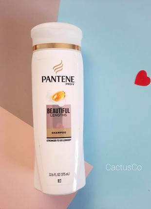 Шампунь для довгого волосся pantene usa