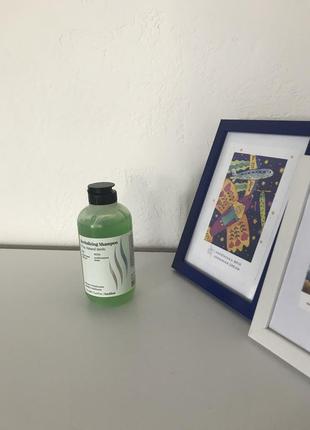 Farmavita back bar revitalizing shampoo n 04 - травяной шампун...