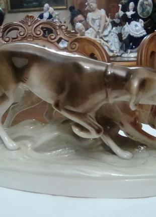 Красивая большая статуэтка  собаки пойнтер охота  фарфор royal...