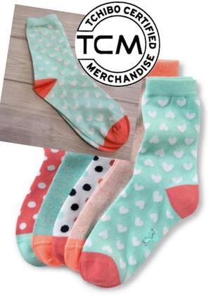 Якісні м'ятні шкарпетки з принтом tcm tchibo німеччина 39-42 м...