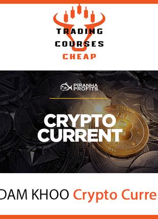 ADAM KHOO - Cryptocurrency Trading Course - CRYPTO CURRENT