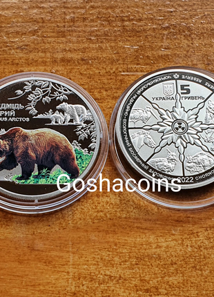 Монета НБУ Ведмідь Бурий 5 грн серія Чорнобиль. Відродження
