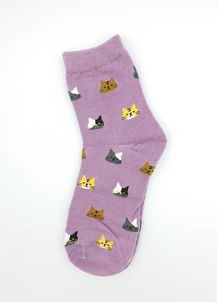 Фиолетовые носочки, прикольные женские носочки с зверюшками, к...