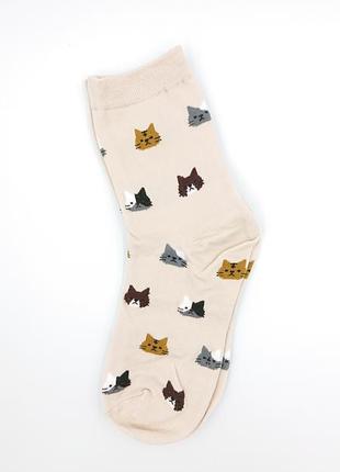 Жіночі кольорові шкарпетки з малюнками, котики, мяу🐈