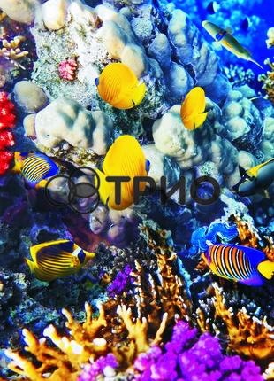 Настінний обігрівач-картина Кораловий риф/рибки ТМ Тріо