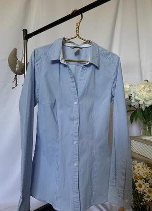 Рубашка  h&m жіноча голубого кольору в полоску