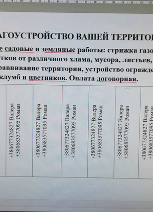 Садовники на территории участка