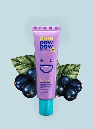 Бальзам для губ відновлюючий Pure Paw Paw Blackcurrant 15g