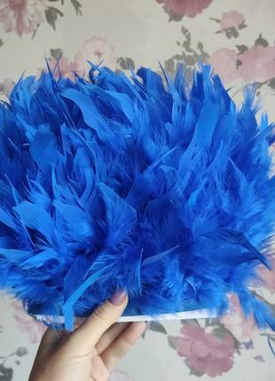 Синие перья индюка на ленте королевский синий