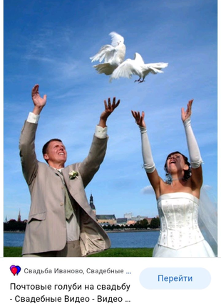 Продам белых почтовых голубей возможно на свадьбы и др. праздники