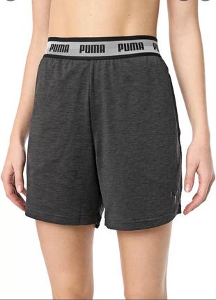 Puma drycell жіночі  шорти розмір s
