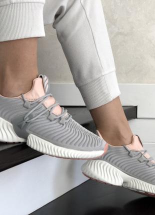 Кросівки сірі жіночі adidas літо Кроссовки серые женские лето