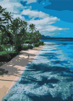 Картины по номерам 40×50 см. Пляж на Мальдивах.Brushme