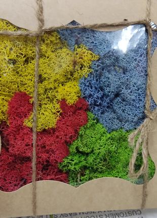 Стабилизированный мох ягель для декора набір 4 кольора Стабілі...
