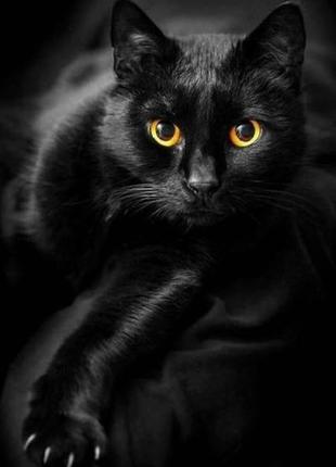 Алмазная вышивка" Черный кот", кошка, радужный,полная выкладка...