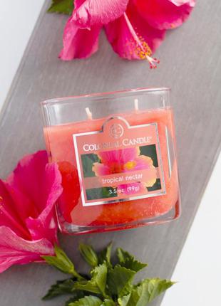 Colonial candle ароматическая свеча "тропический нектар". прои...