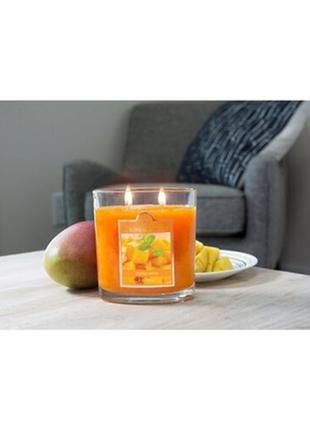 Mango salsa ароматическая свеча от colonial candle сша