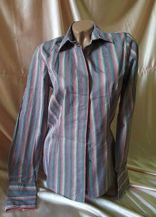 Блуза рубашка хлопковая новая р. 46-48