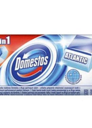 Змінний блок для унітазу 40 г Атлантік ТМ DOMESTOS