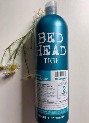 Зволожуючий шампунь для волосся tigi bed head urban anti+dotes...