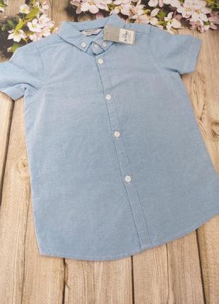 Класична блакитна сорочка рубашка на хлопчиків бренду primark