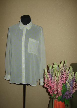 Стильная блуза рубашка в горошек