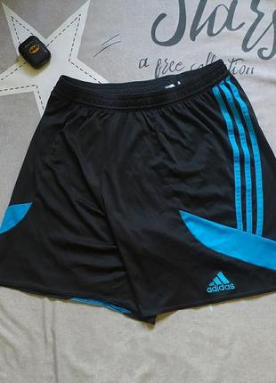 Шорти adidas m з лампасами