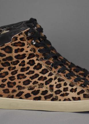Crime london leopard hi кросівки кеди жіночі високі шкіряні. і...