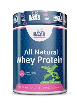 Протеїн Haya Labs 100% Pure All Natural Whey Protein, 454 грам...