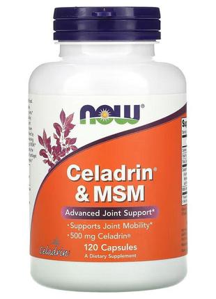 Препарат для суглобів і зв'язок NOW Celadrin & MSM 500 mg, 120...