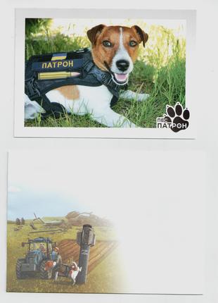 Укрпошта Открытка для марки Пес Патрон + конверт, листівка собака