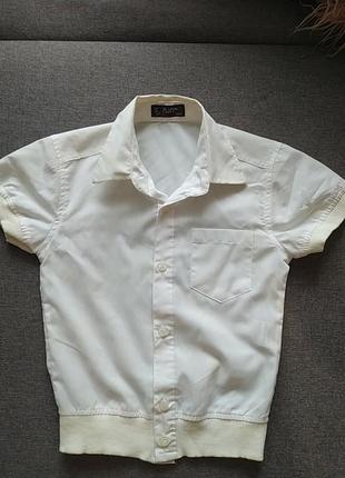 Белая рубашка шведка футболка на мальчика