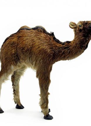 Верблюд (з шкіри та хутра) (12") (32х30х8 см)