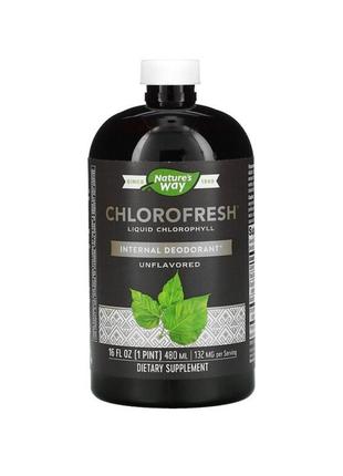 Nature's way 
chlorofresh, жидкий хлорофилл, без добавок, 480 мл