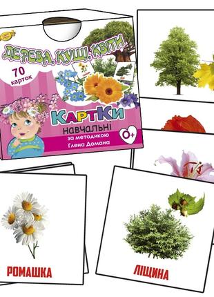 Картки за методикою Глена Домана «Дерева, кущі, квіти (70 карт...