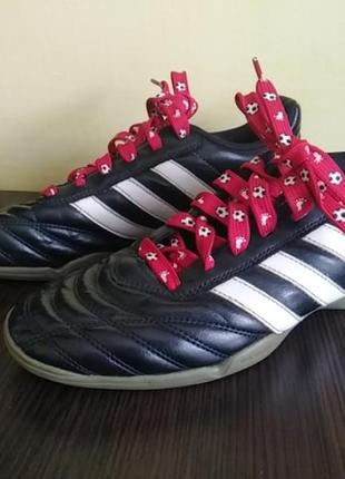 Adidas adi questra футзалки кросівки взуття для футболу