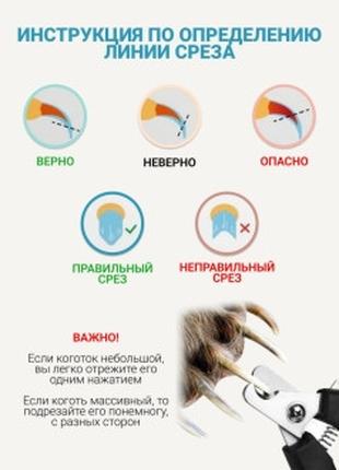 Когтерез для кошек, Когтерезка для собак, Когтерезы для животн...
