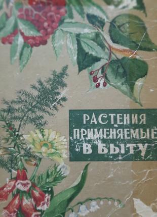 Рослини, які застосовують в побуті ( російською).