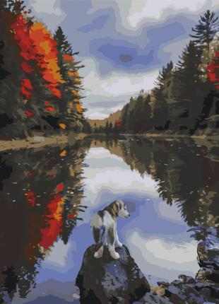 Картина по номерах Собачка біля озера 40x50