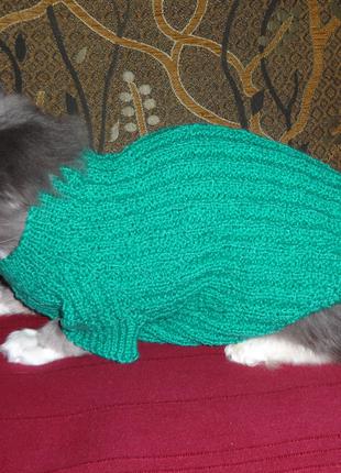 В'язаний светр для собачок маленького та середнього розміру