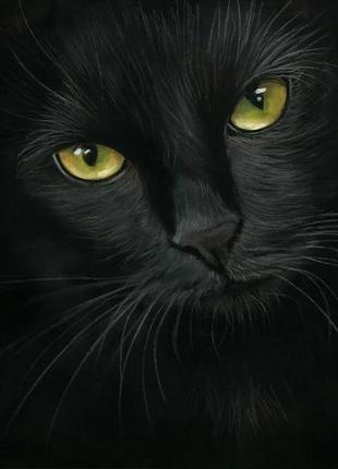 Набір вишивки алмазної мозаїки Погляд жовтоокого кота чорна кі...