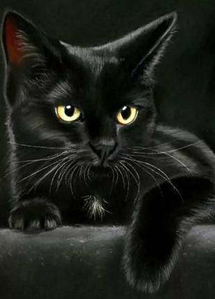 Набор алмазной мозаики вышивки Взгляд желтоглазого кота черный...