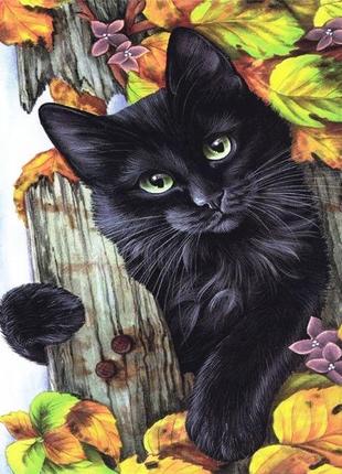 Набір алмазної мозаїки вишивки "Кішка в квітах" чорний райдужн...