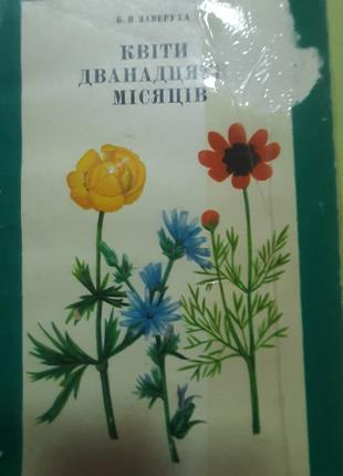 Заверуха Б.В. Квіти дванадцяти місяців.