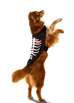Костюм для собаки halloween. скелет скелетик хеллоуин хэллоуин...