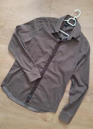 Стильная мужская рубашка в мелкий горошек sorbino