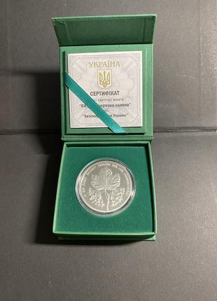 Калина 10 лет