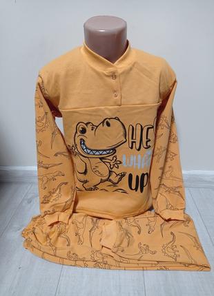 Детская пижама утепленная с микроначесом Динозавр на мальчика ...