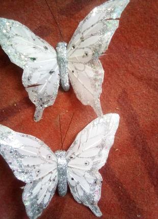Метелики декоративні