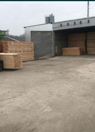 Послугі сушіння деревини